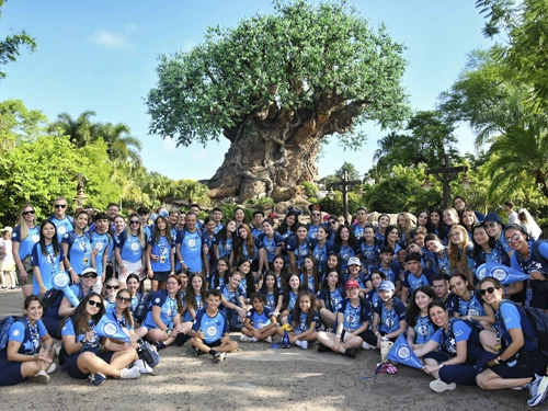 Animal Kingdom